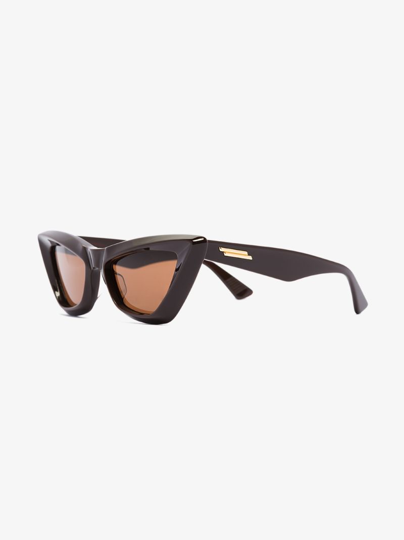 Brown Cat Eye Sunglasses