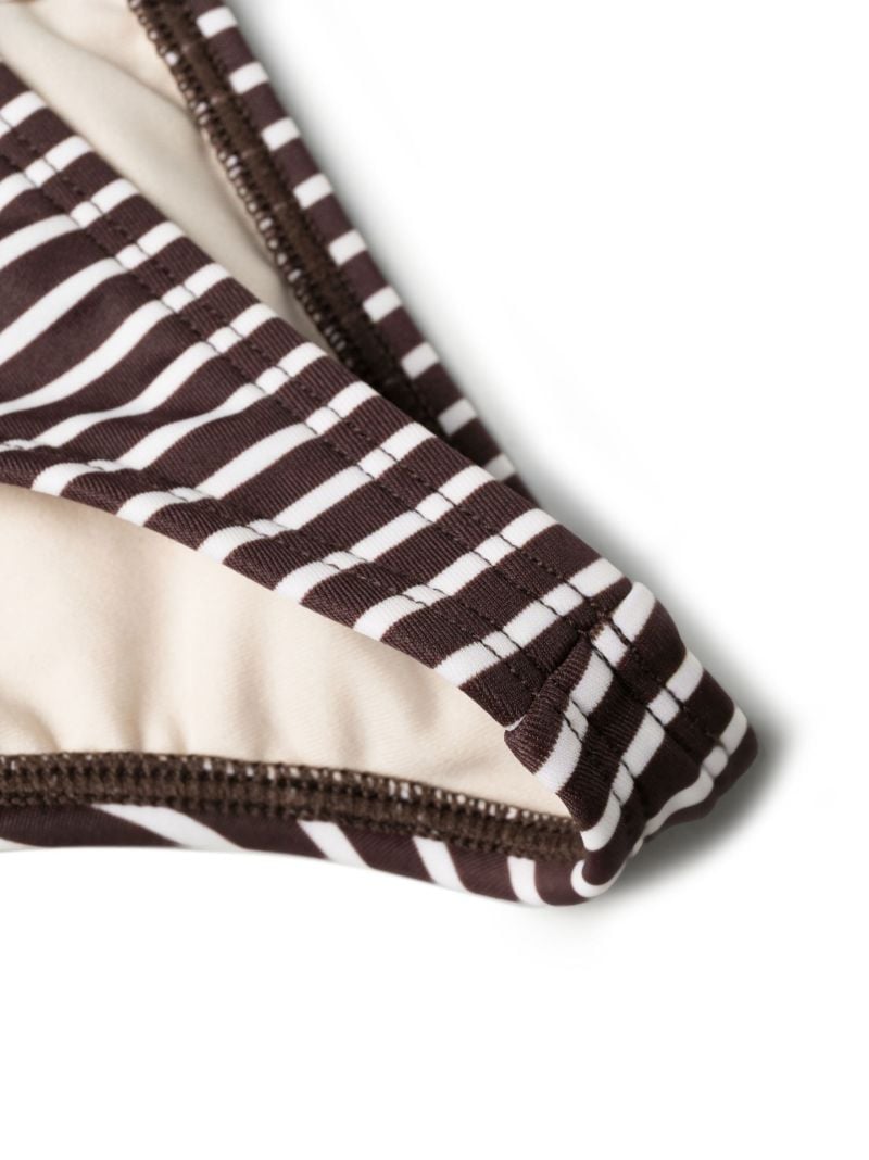 Brown Striped Bikini Briefs