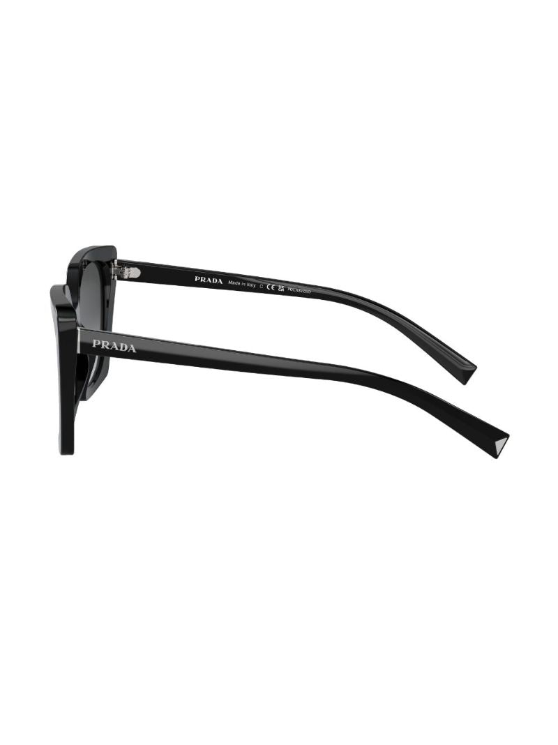 Black Oversized-frame Sunglasses