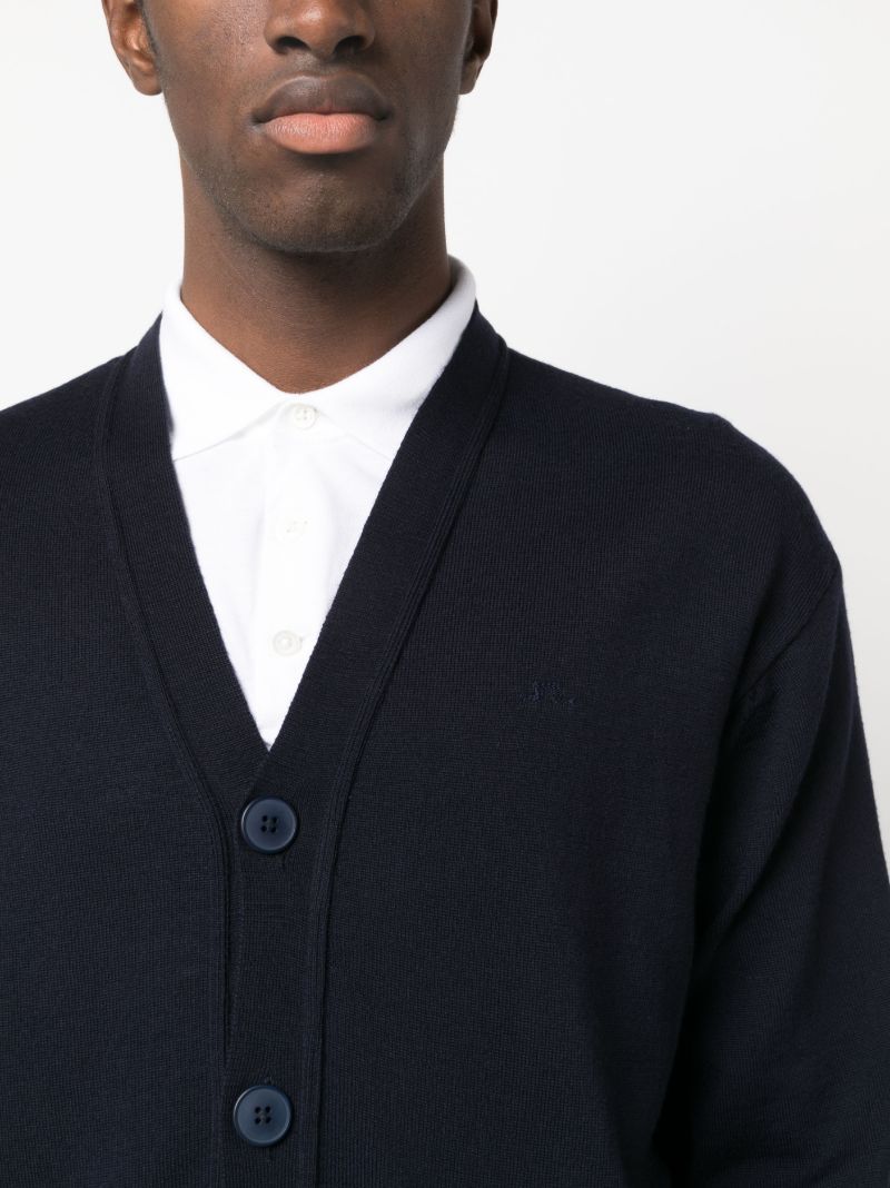 Blue Lucas Merino Wool Cardigan