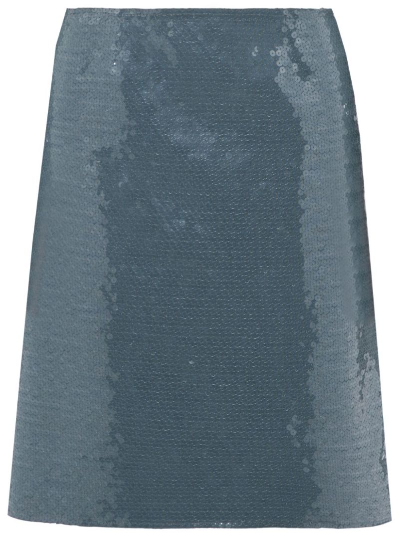 Grey Wile Sequin-embellished Skirt