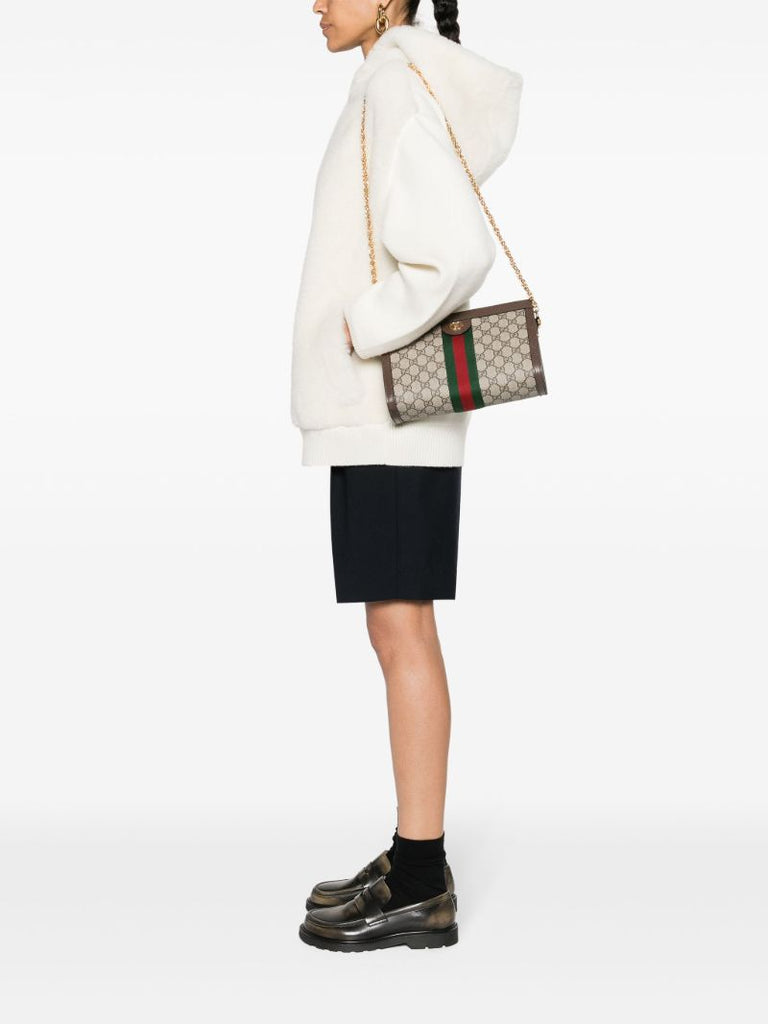 Brown Ophidia Gg Supreme Small Shoulder Bag