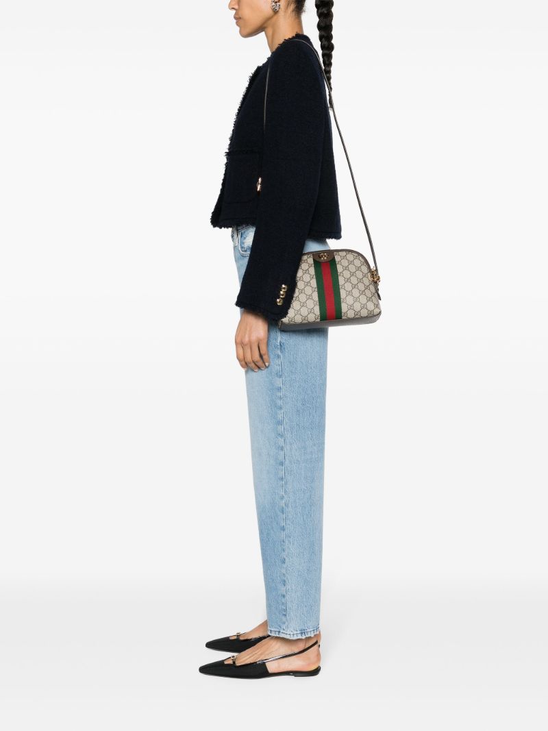 Brown Ophidia Small Gg Supreme Shoulder Bag
