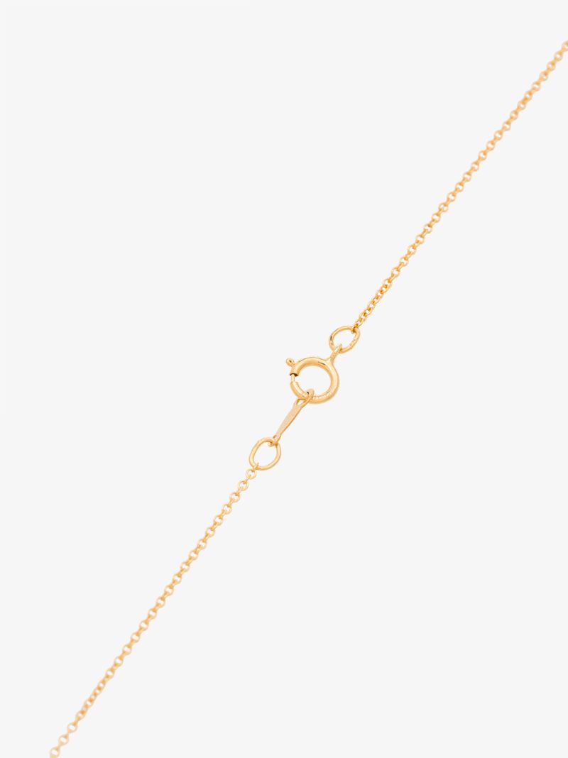 9k Yellow Gold Ii Leone Medallion Necklace