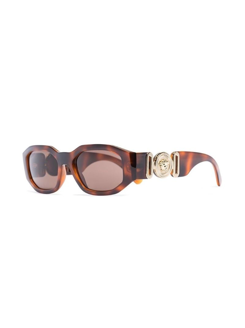Brown Biggie Rectangle Sunglasses