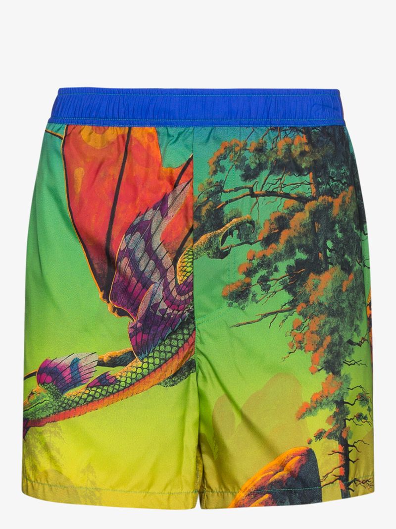 Multicoloured Dragon At Dawn Printed Swim Shorts