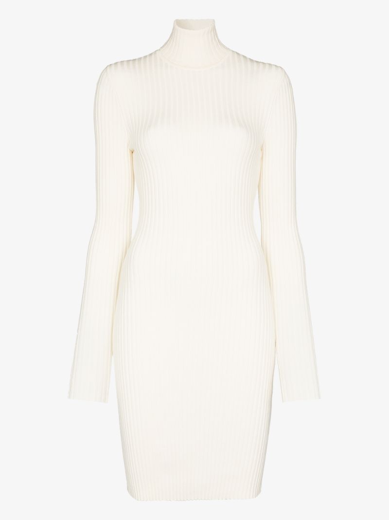 Ribbed Knit Mini Dress