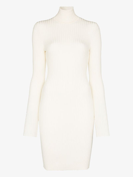 Ribbed Knit Mini Dress