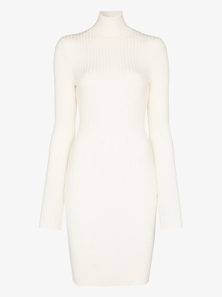 Ribbed Knit Mini Dress