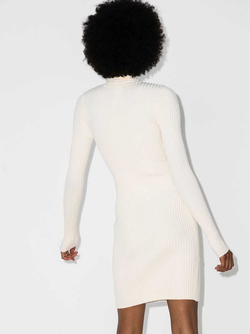 Ribbed Knit Mini Dress