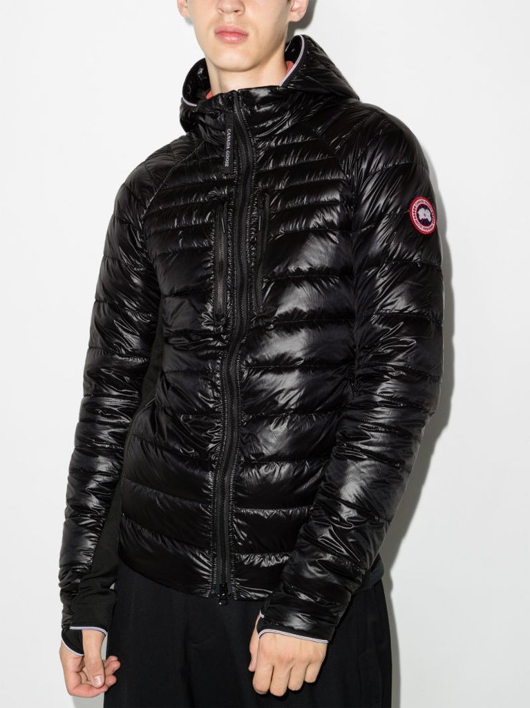 Black HybridgeÃ_x0082_Â® Lite Hooded Quilted Jacket