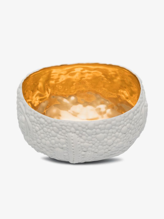 X Haas Brothers White and Gold Mojave Porcelain Bowl