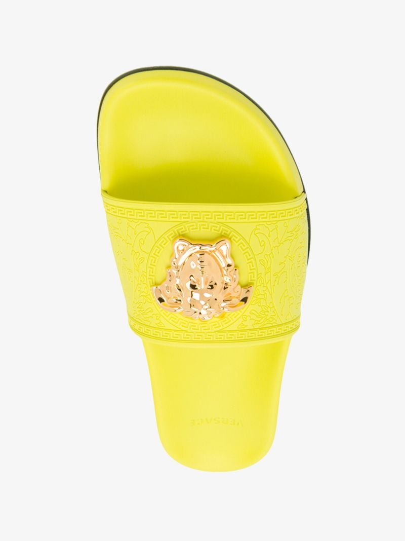 Yellow Medusa Plaque Slides