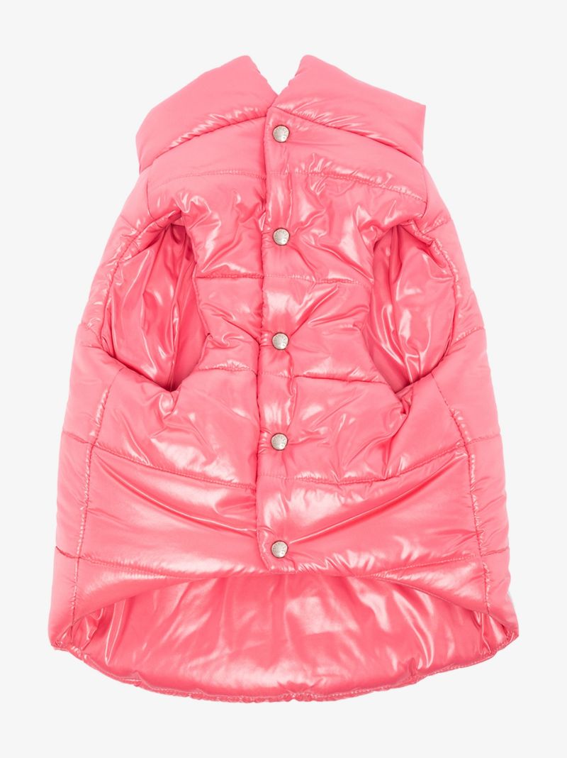 Padded Dog Coat