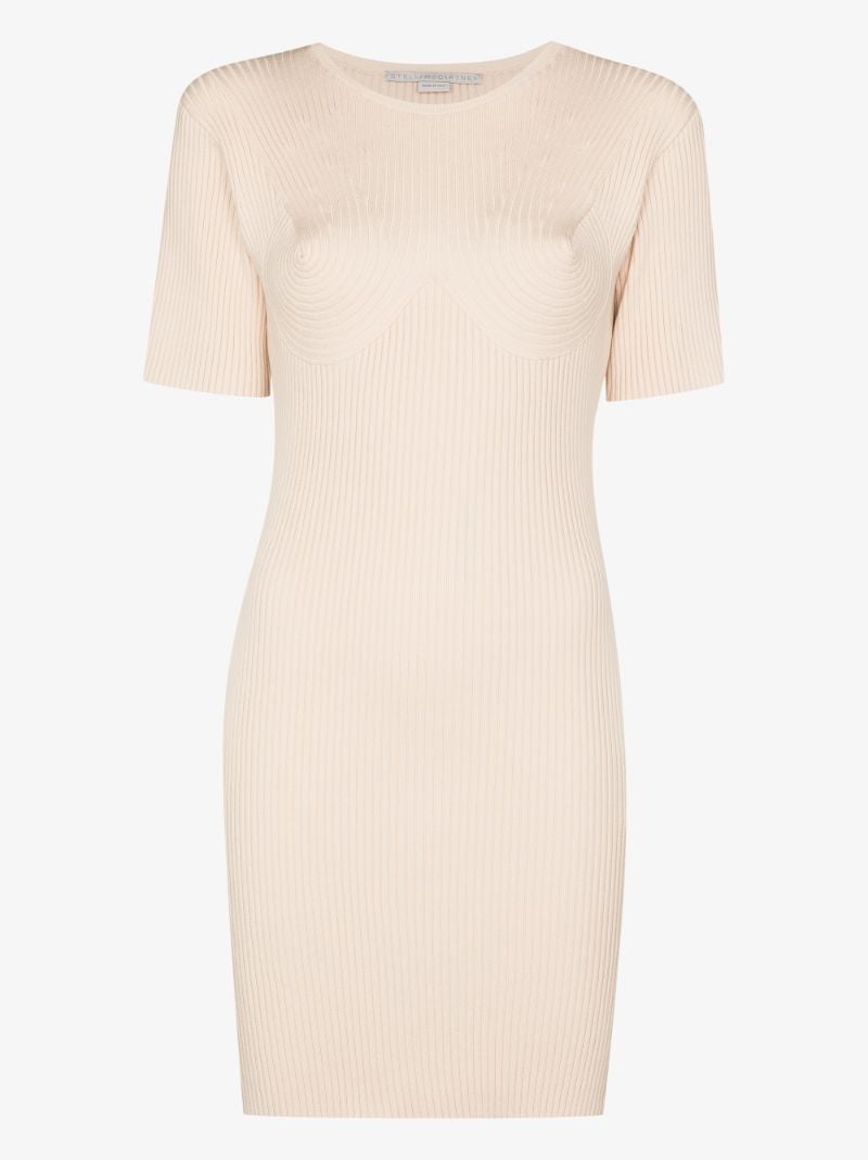Ribbed Knit Mini Dress