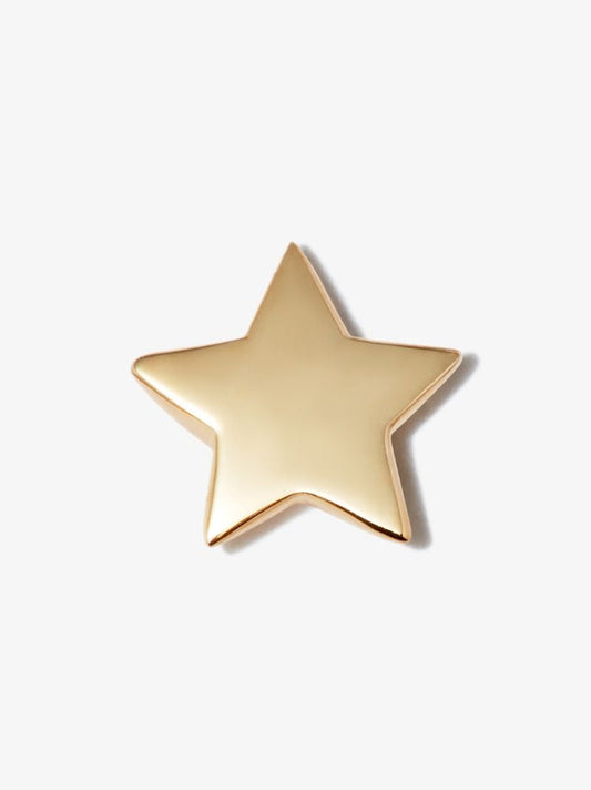 14k Yellow Gold Star Earring