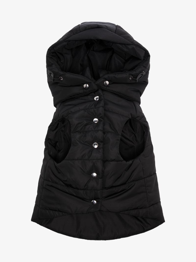 Quilted Dog Coat