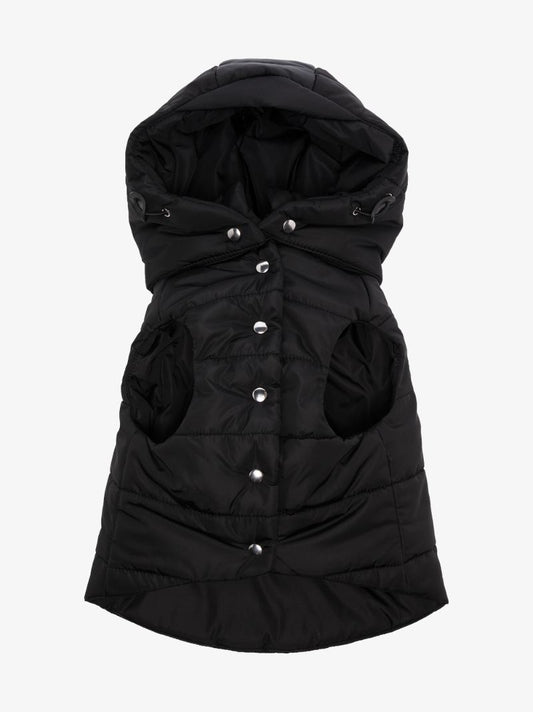 Quilted Dog Coat
