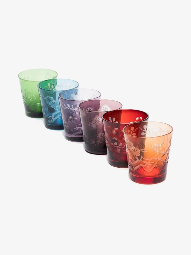 Multicolour Blossom Glass Set