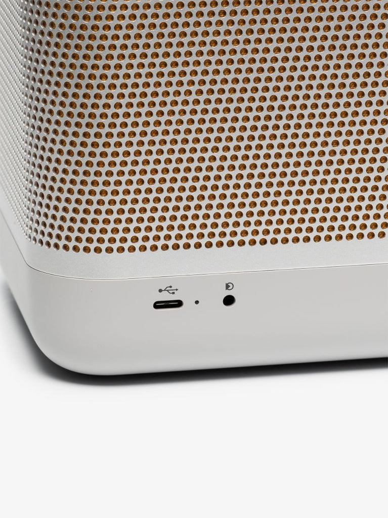 Grey Beolit 20 Bluetooth Wireless Speaker