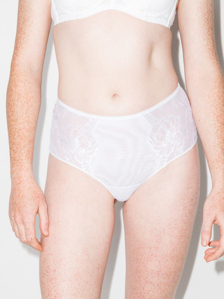 Brigitta High Waist Lace Briefs
