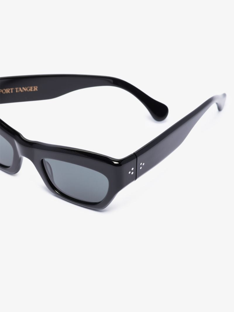 Black Aygreen Wayfarer Sunglasses