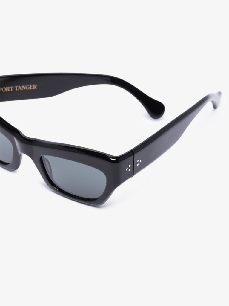 Black Aygreen Wayfarer Sunglasses