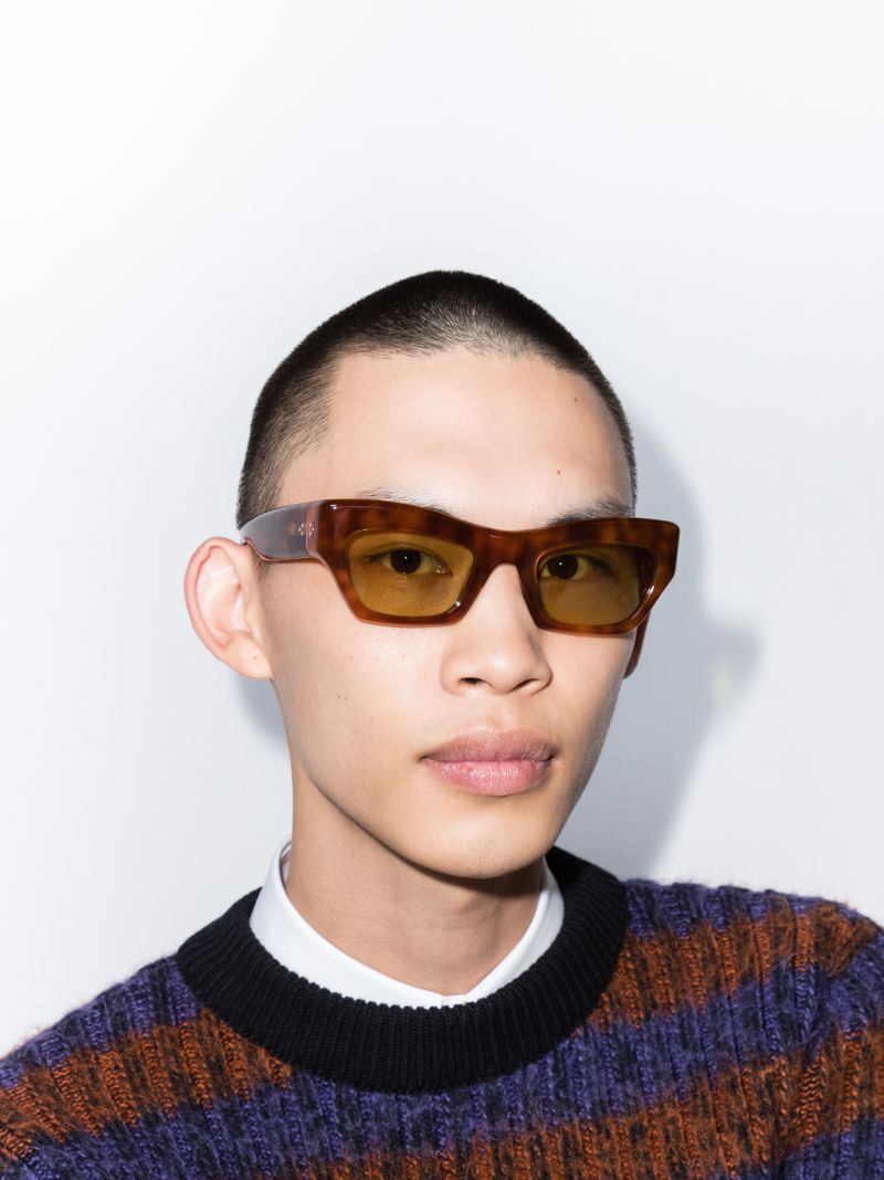 Brown Aygreen Tortoiseshell Wayfarer Sunglasses