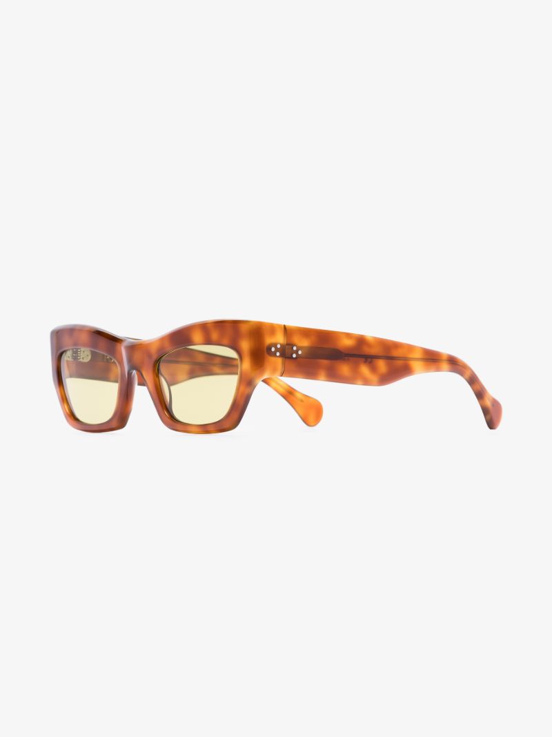 Brown Aygreen Tortoiseshell Wayfarer Sunglasses