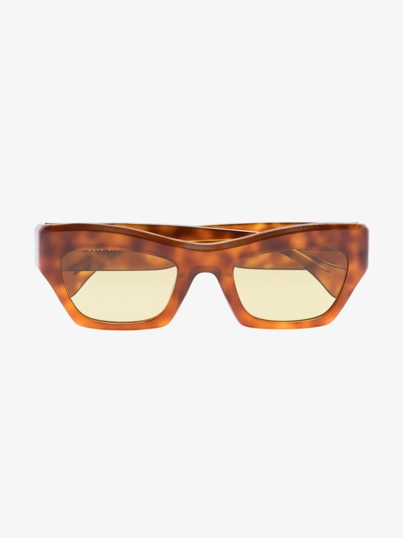 Brown Aygreen Tortoiseshell Wayfarer Sunglasses