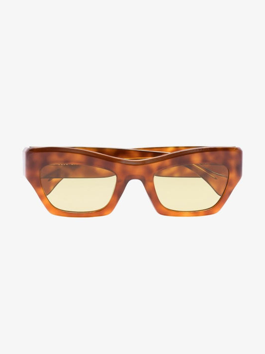 Brown Aygreen Tortoiseshell Wayfarer Sunglasses