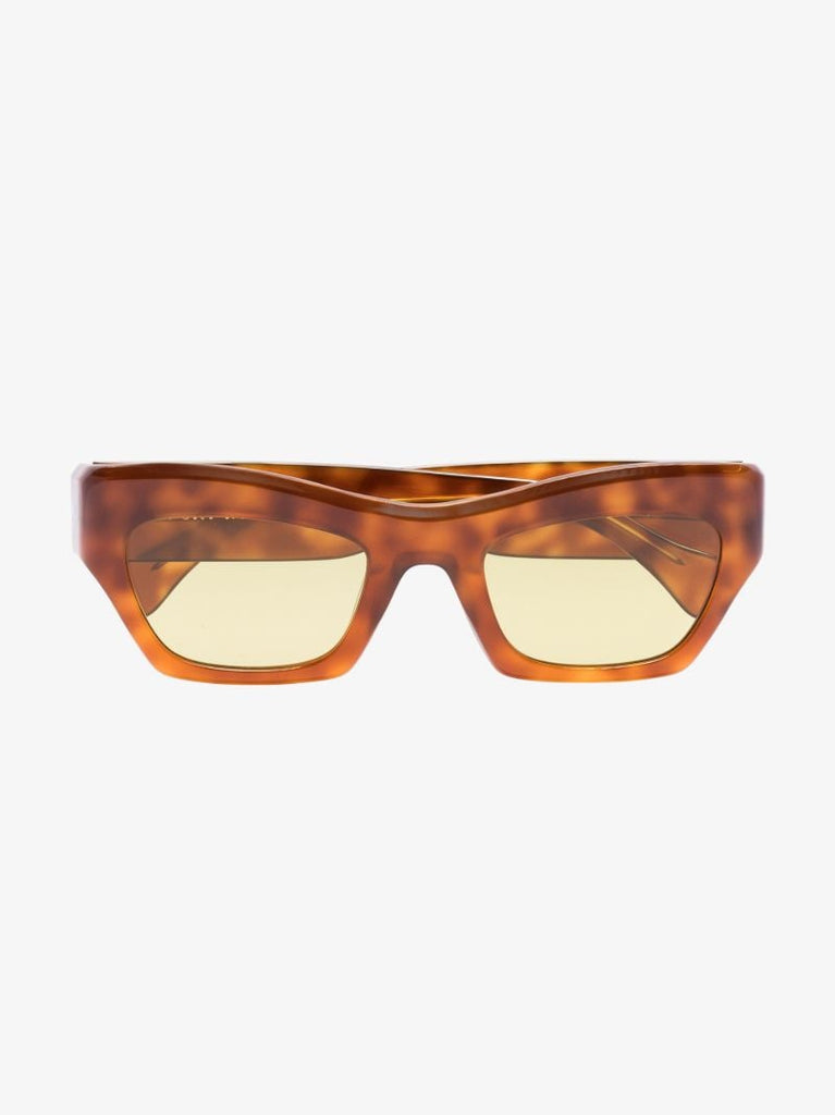 Brown Aygreen Tortoiseshell Wayfarer Sunglasses