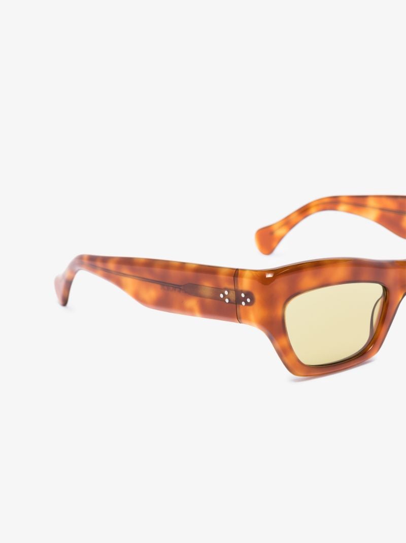 Brown Aygreen Tortoiseshell Wayfarer Sunglasses