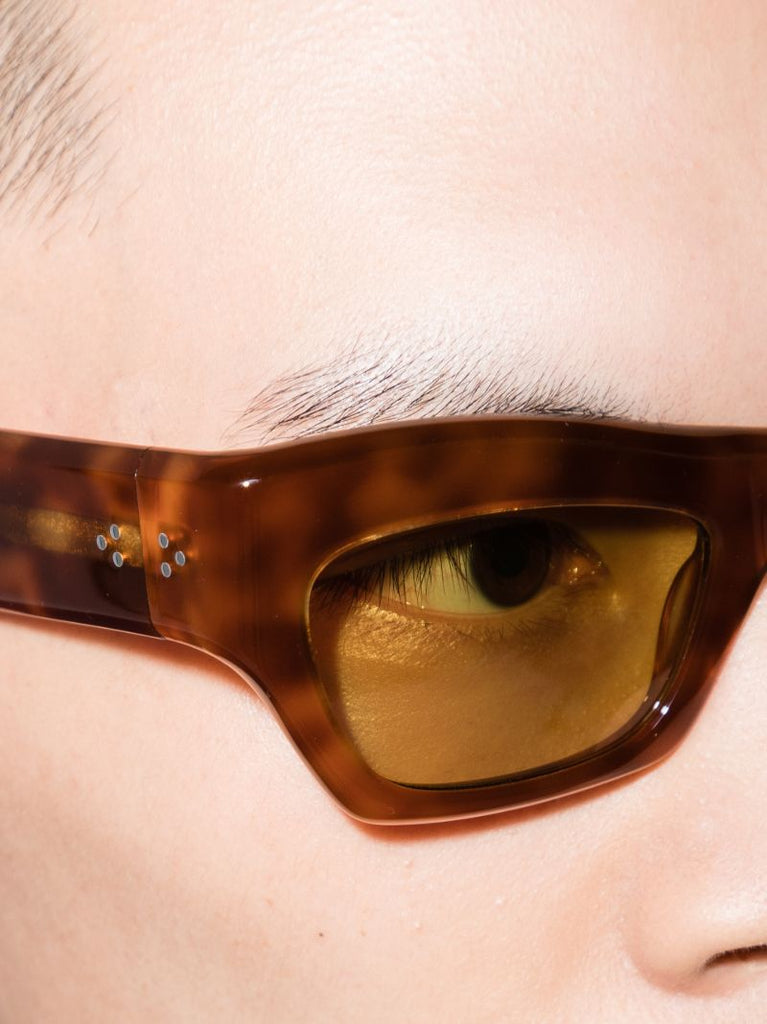 Brown Aygreen Tortoiseshell Wayfarer Sunglasses