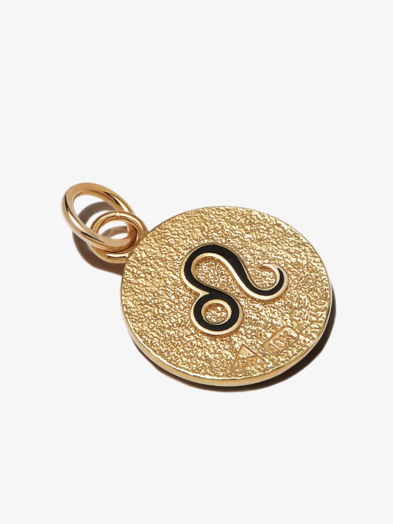 18k Yellow Gold Leo Petite Medallion Charm