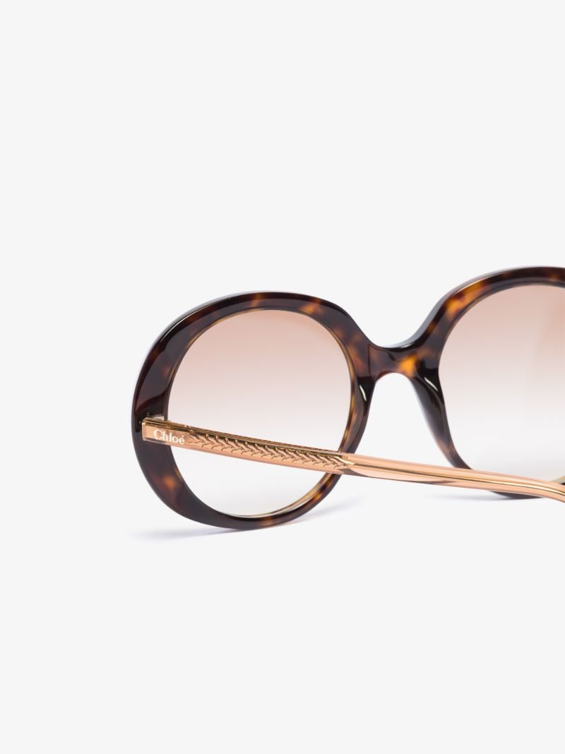 Brown Oversized Oval Sunglasses