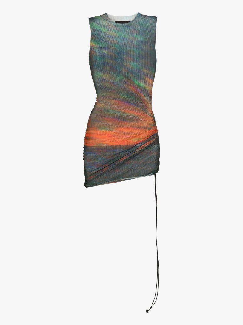 Heatwave Printed Mesh Mini Dress