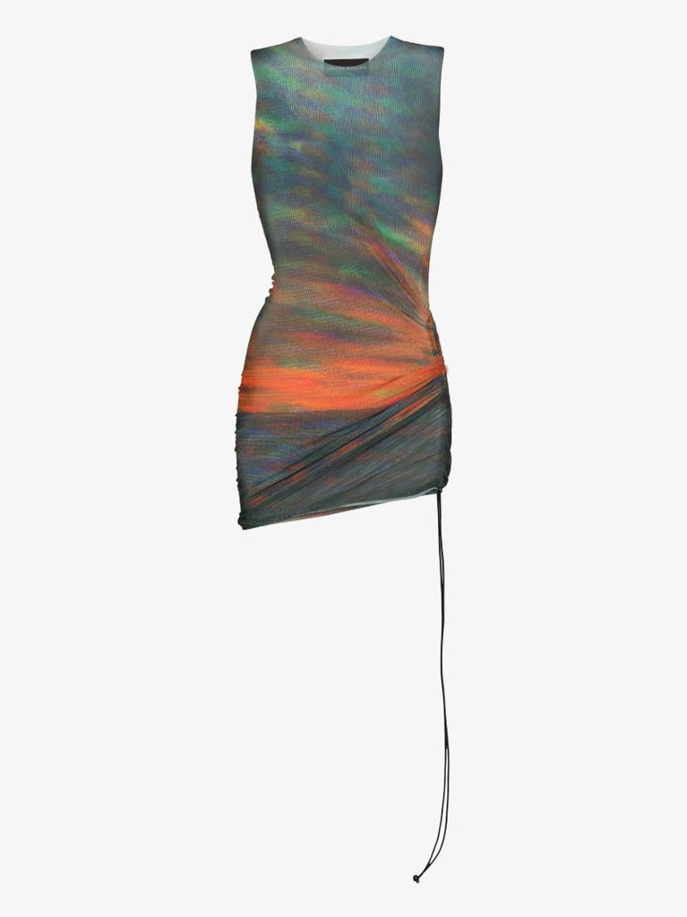 Heatwave Printed Mesh Mini Dress