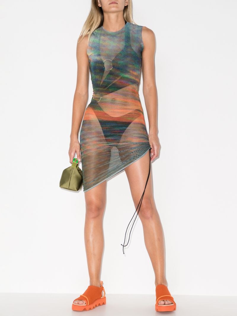 Heatwave Printed Mesh Mini Dress