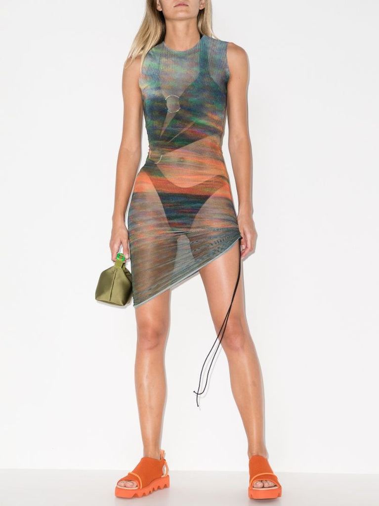 Heatwave Printed Mesh Mini Dress