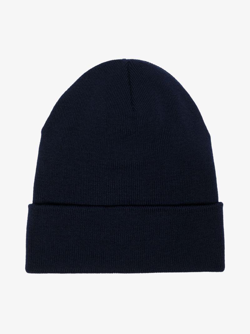 Blue Logo Wool Beanie Hat
