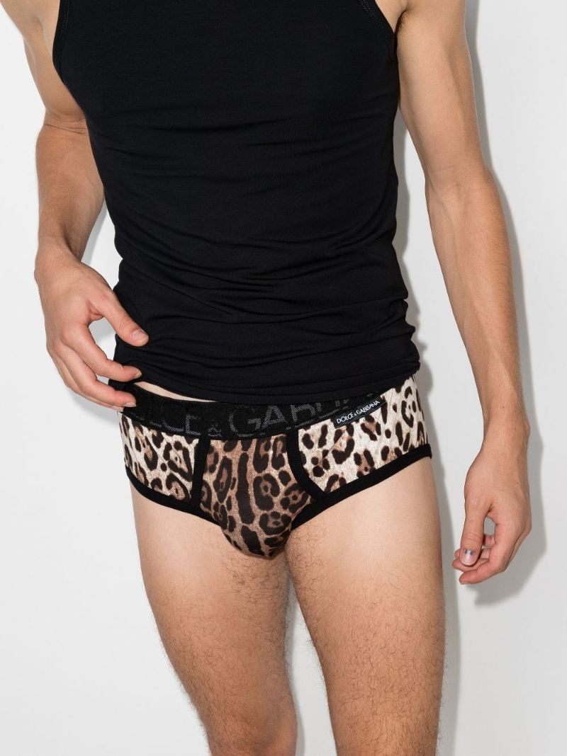 Leopard Print Briefs