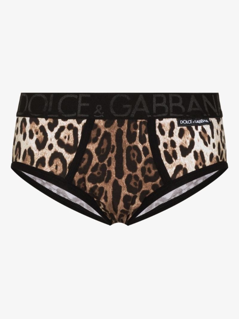Leopard Print Briefs
