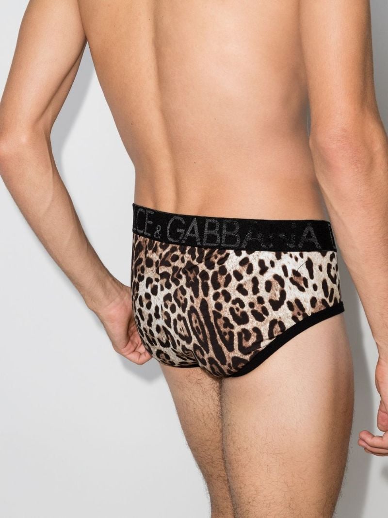 Leopard Print Briefs