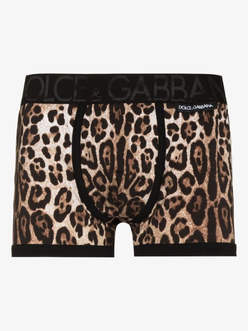 Leopard Print Briefs