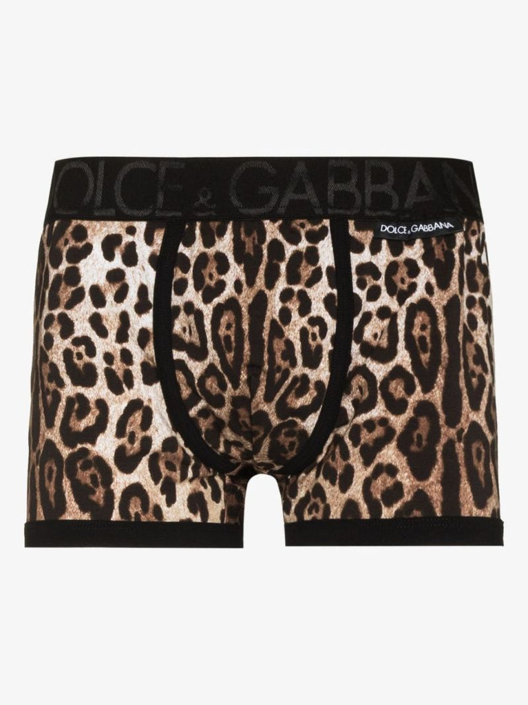 Leopard Print Briefs