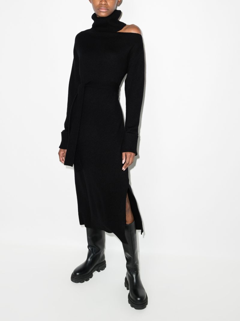 Raundi Roll Neck Knitted Dress