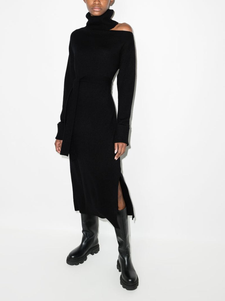 Raundi Roll Neck Knitted Dress