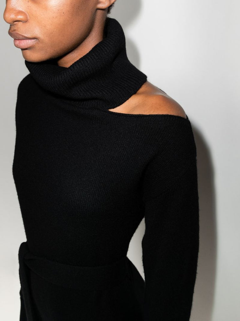 Raundi Roll Neck Knitted Dress