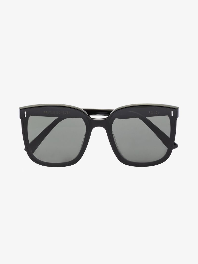 Black Frida 01 Wayfarer Sunglasses